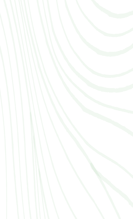 Background Pattern